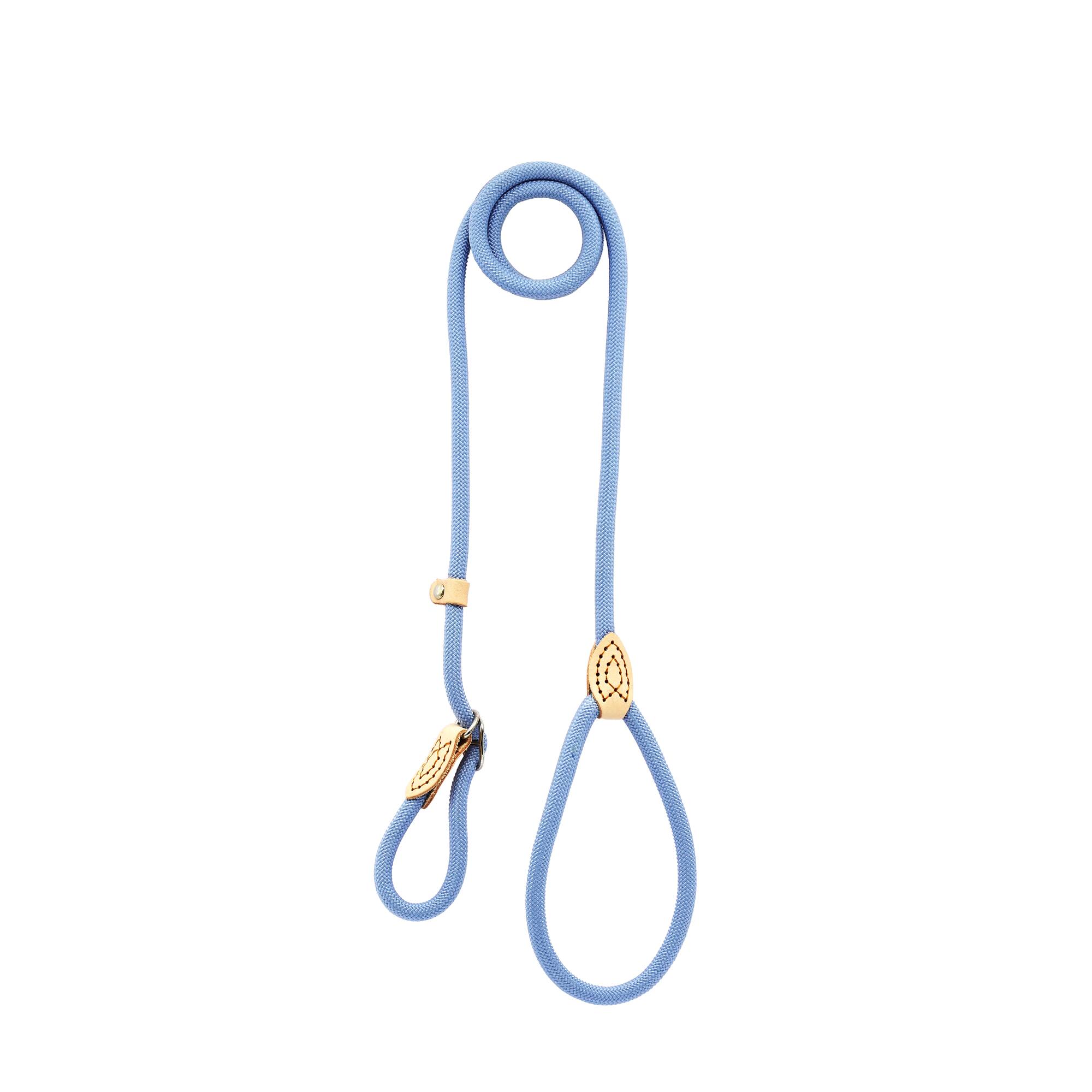 Assorted 5ft. Pet Leash, 1pc. by Fab Finds